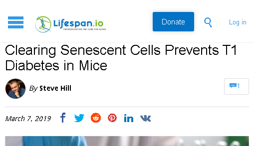 The mice study that showed clearing senescent cells prevented T1 diabetes