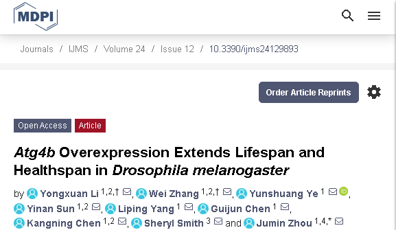 Drosophila melanogaster lifespan and health are affected by autophagy-related ATG4B.